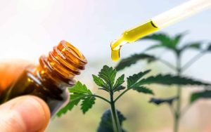 Red Razz Chiller Multi-pack 50 THC:CBD Gummies Ontario Cannabis Store