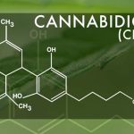 6 Common Diseases Treated with Medical Marijuana