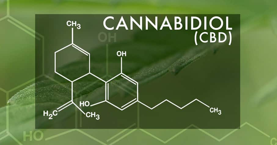 6 common diseases treated with medical marijuana