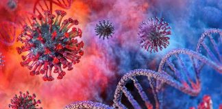 3 Things You Need to Know About the Coronavirus