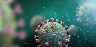 Coronavirus: How Long It Lives, What You Can Do