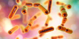 What Your Microbiome Says About Your Age