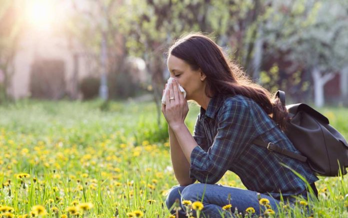 6 Tricks to Treat Seasonal Allergies
