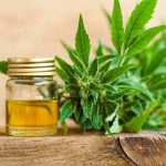 5 Myths About CBD Oil